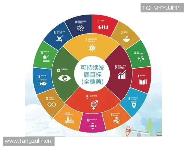 以社会责任为核心推动力构建和谐发展新模式探索与实践 以社会责任为核心推动力构建和谐发展新模式探索与实践